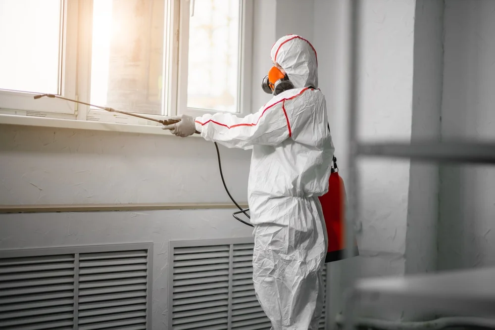 Professional mold remediation services in Chalmers, IN